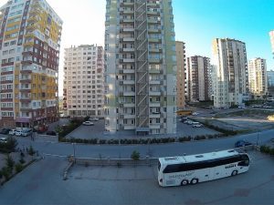 Fluorescent (Florasan)